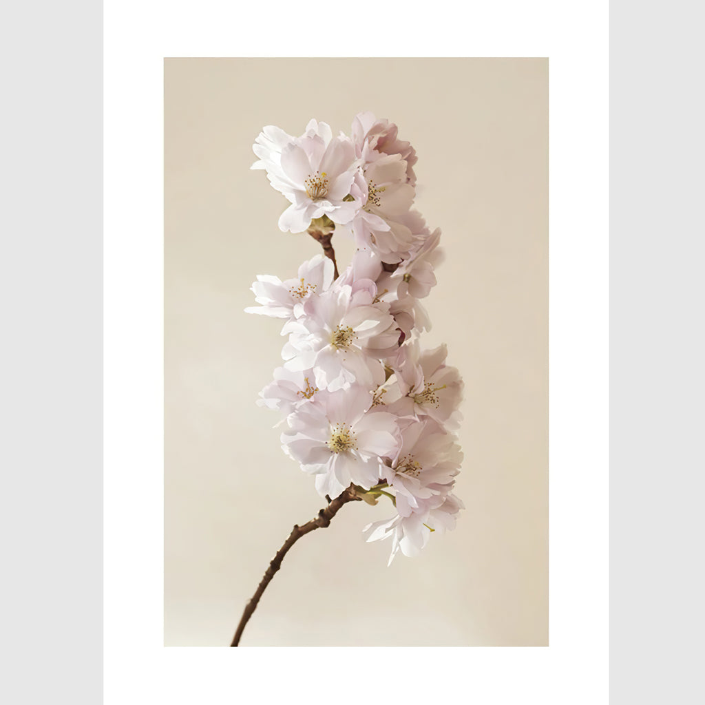 Wall Art - Blooming Pink 3 sets - Poster Prints -Canvas Prints