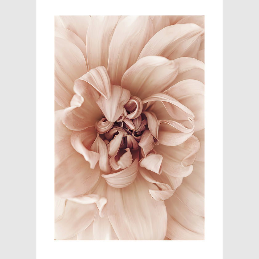 Wall art - Peach Dahlia 2 sets- Canvas Prints- Poster Prints