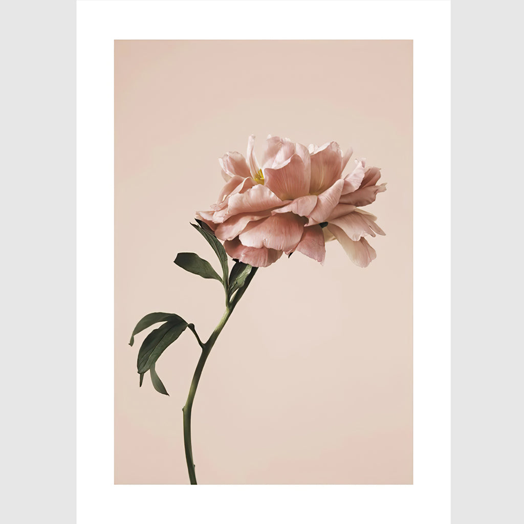 Wall Art - Blooming Pink 3 sets - Poster Prints -Canvas Prints