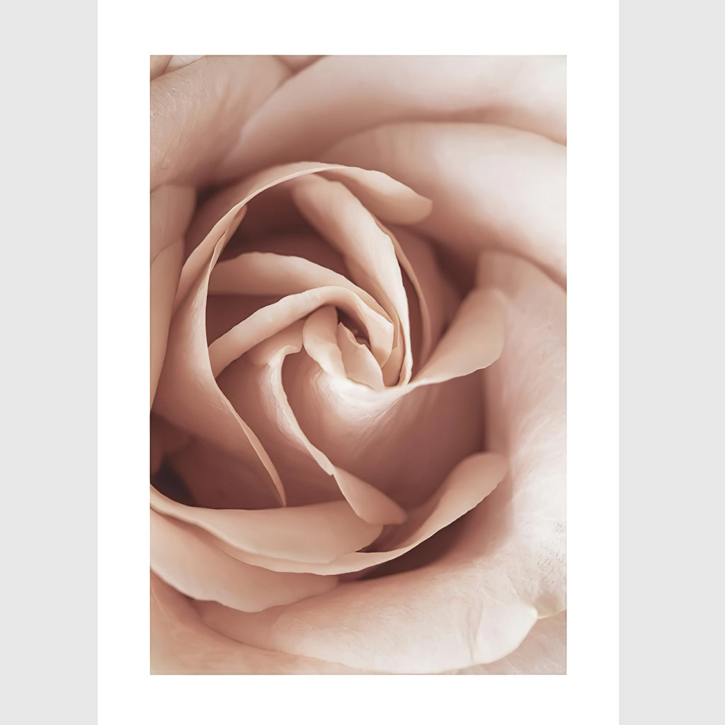Wall Art - Blooming Pink 3 sets - Poster Prints -Canvas Prints