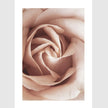 Wall Art - Blooming Pink 3 sets - Poster Prints -Canvas Prints