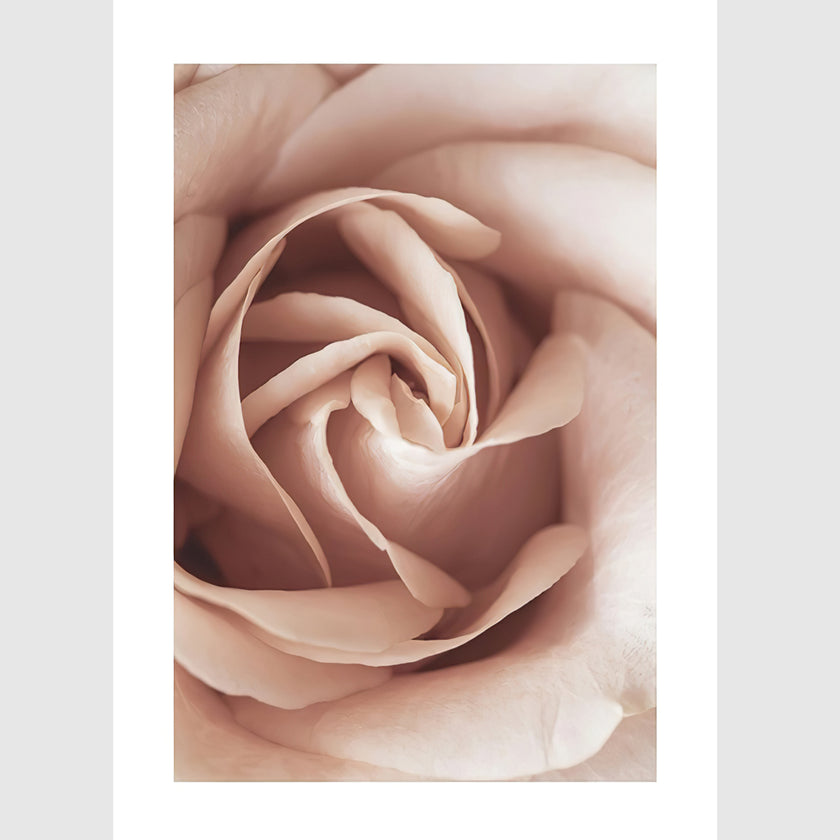 Wall Art - Blooming Pink 3 sets - Poster Prints -Canvas Prints