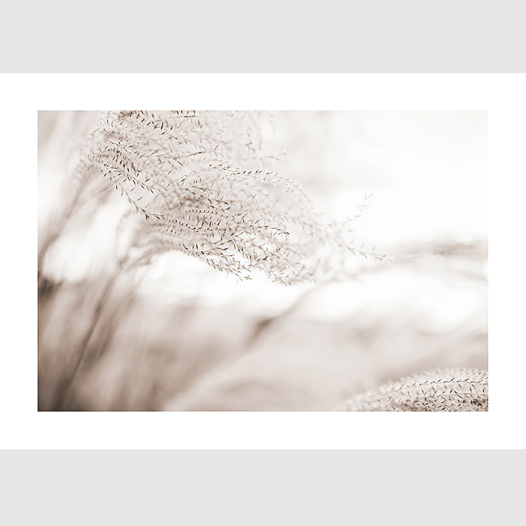 Wall art - Beach Ridge 2 sets- Canvas Prints- Poster Prints