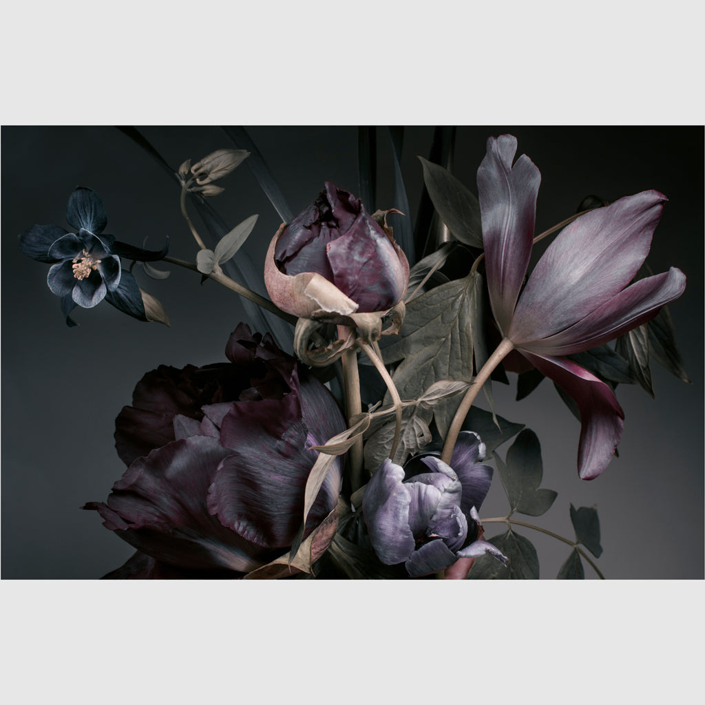 Wall Art - Floral In Grey Background - Canvas Prints - Poster Prints