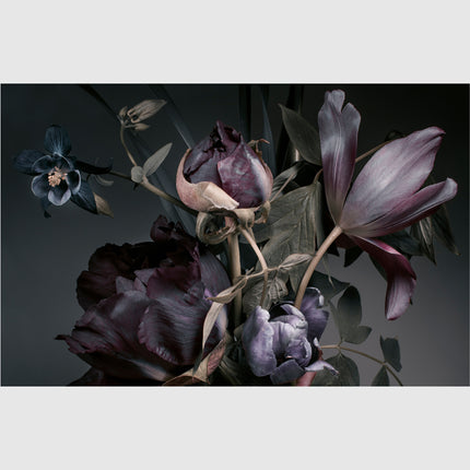 Wall Art - Floral In Grey Background - Canvas Prints - Poster Prints