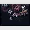 Wall Art - Floral In Black Background - Canvas Prints - Poster Prints