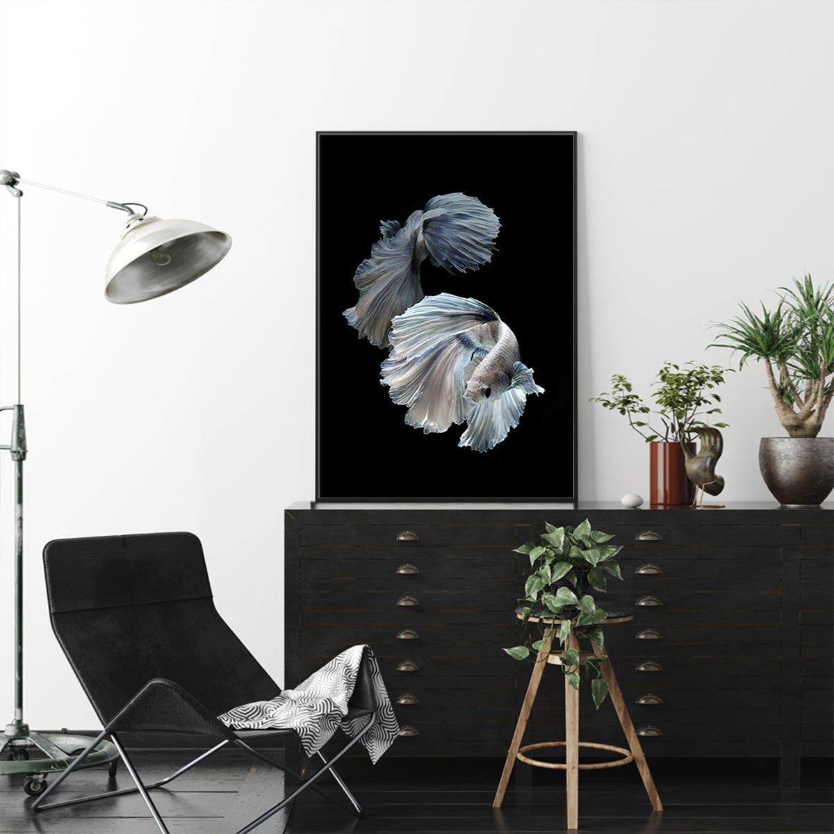 Wall Art - Siamese Fighting Fish - Canvas Prints-Poster Prints