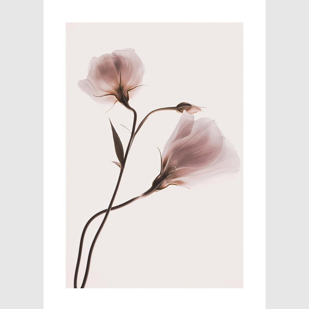 Wall Art - Garden Roses 3 sets - Poster Prints -Canvas Prints