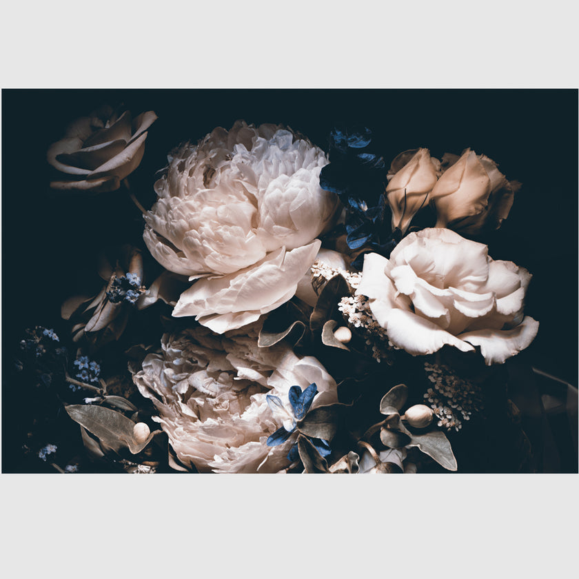 Wall Art - Blossom In Black Background - Canvas Prints - Poster Prints