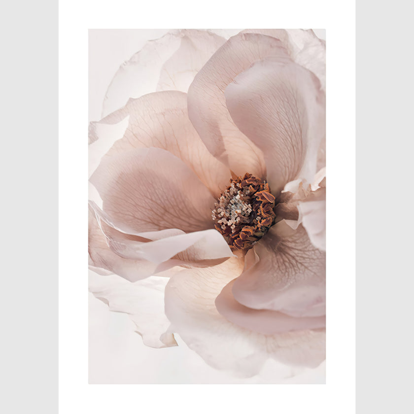 Wall Art - Garden Roses 3 sets - Poster Prints -Canvas Prints