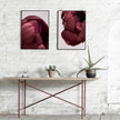 Wall Art prints - Rose Floral ( 3 sets )- Poster Prints -Canvas Prints
