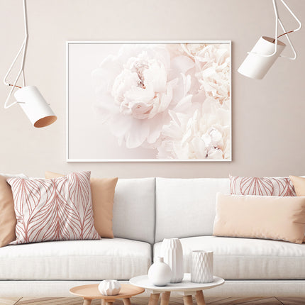 Wall Art - Peony In Bloom- Canvas Prints-Poster Prints