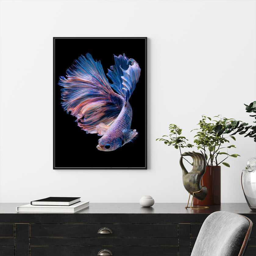 Wall Art - Siamese Fighting Fish II - Canvas Prints-Poster Prints