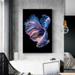 Wall Art - Siamese Fighting Fish II - Canvas Prints-Poster Prints