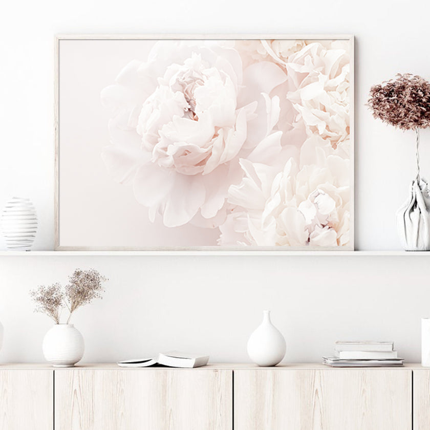 Wall Art - Peony In Bloom- Canvas Prints-Poster Prints
