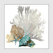 Wall Art Prints -Pairs of sea fern (2 sets)- Canvas Prints-Poster Prints