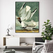 Wall Art - The Birds Of America By John James Audubon - Canvas Prints-Poster Prints