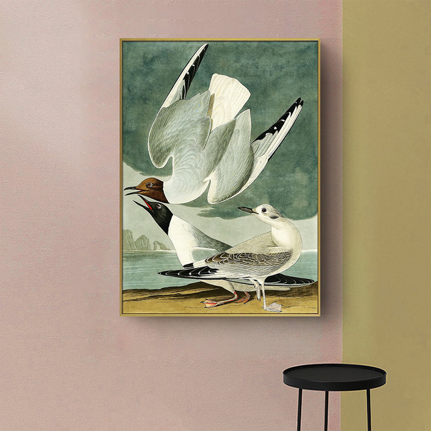 Wall Art - The Birds Of America By John James Audubon - Canvas Prints-Poster Prints