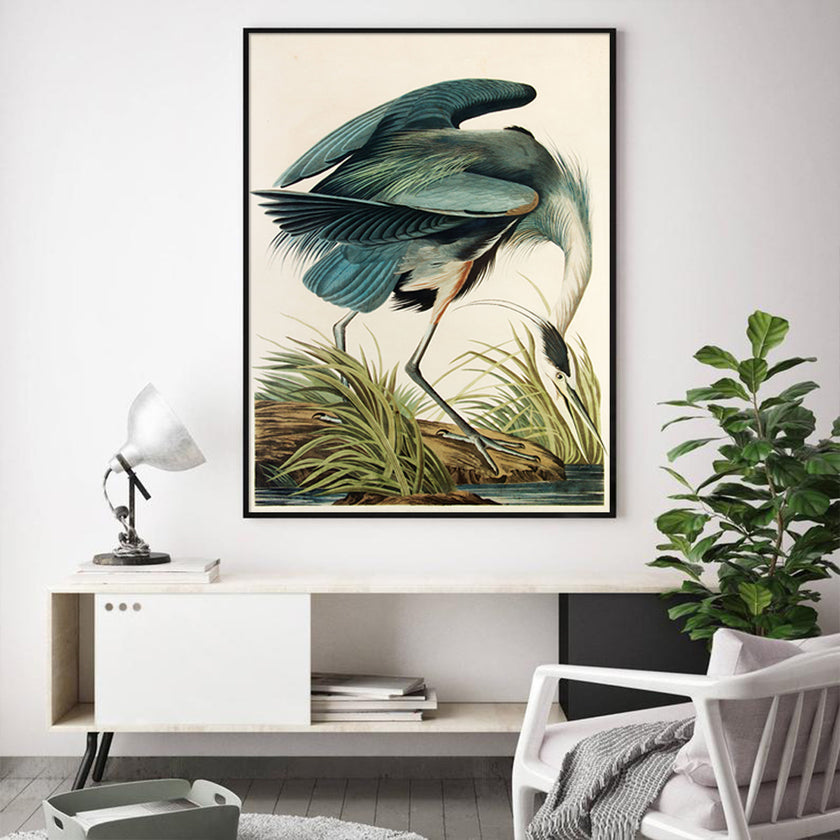 Wall Art - Great Blue Heron By John James Audubon - Canvas Prints-Poster Prints