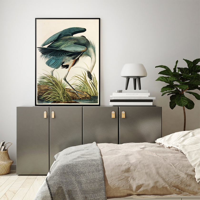 Wall Art - Great Blue Heron By John James Audubon - Canvas Prints-Poster Prints