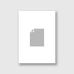 Print Only   (Rectangle)
