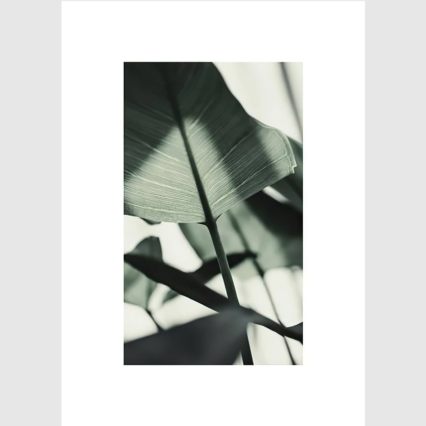 Wall Art - Golden Monstera Leaves 3 sets - Poster Prints -Canvas Prints