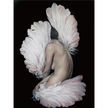 Figures Art - Print Wall Art - Angel wing girl - Canvas Prints-Poster Prints