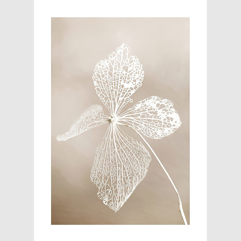 Wall art - Dried Flower 2 sets- Canvas Prints- Poster Prints