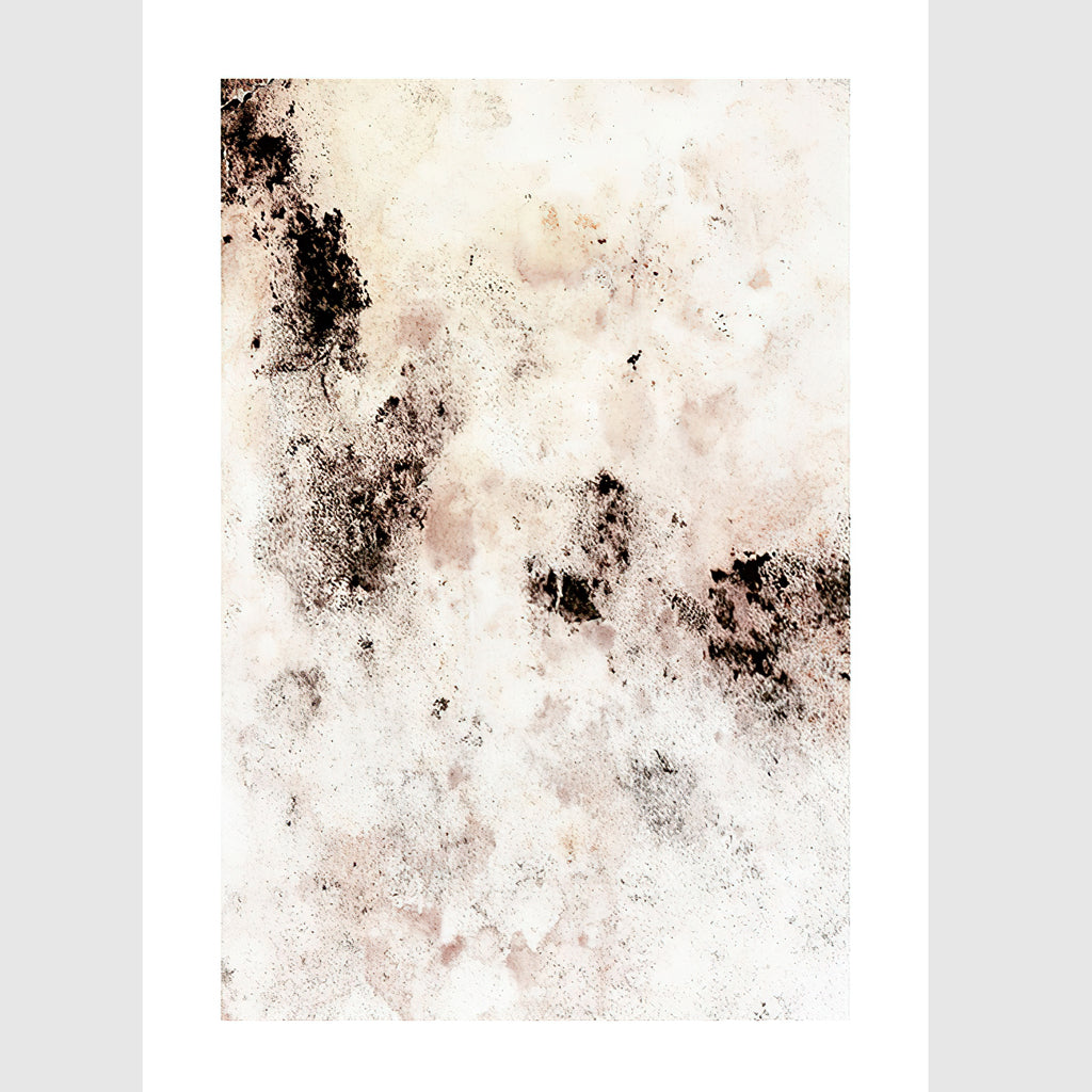 Wall art - Dried Flower 2 sets- Canvas Prints- Poster Prints