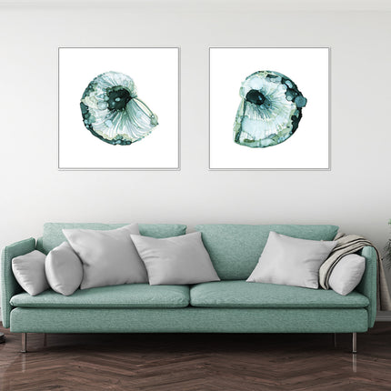 Wall Art - Barnacle 2 sets - Canvas Prints-Poster Prints