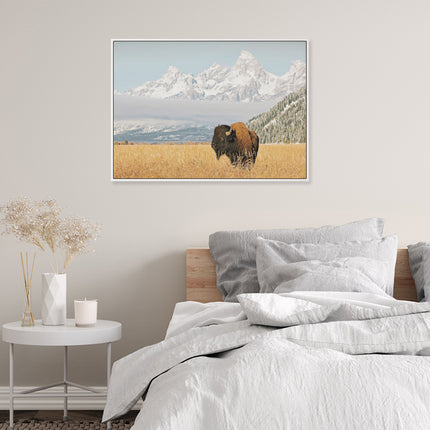Wall Art - Bison with Teton Mountains - Canvas Prints-Poster Prints