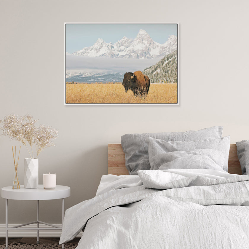 Wall Art - Bison with Teton Mountains - Canvas Prints-Poster Prints