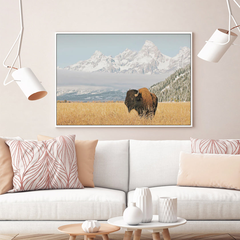 Wall Art - Bison with Teton Mountains - Canvas Prints-Poster Prints