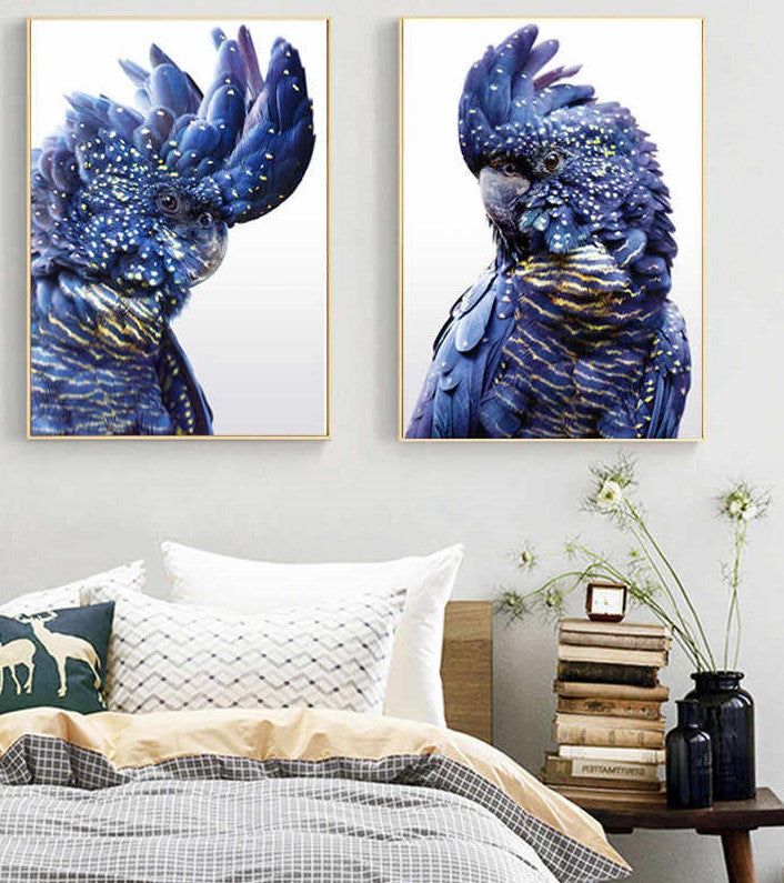 Wall Art - Black Cockatoo A  - Canvas Prints - Poster Prints