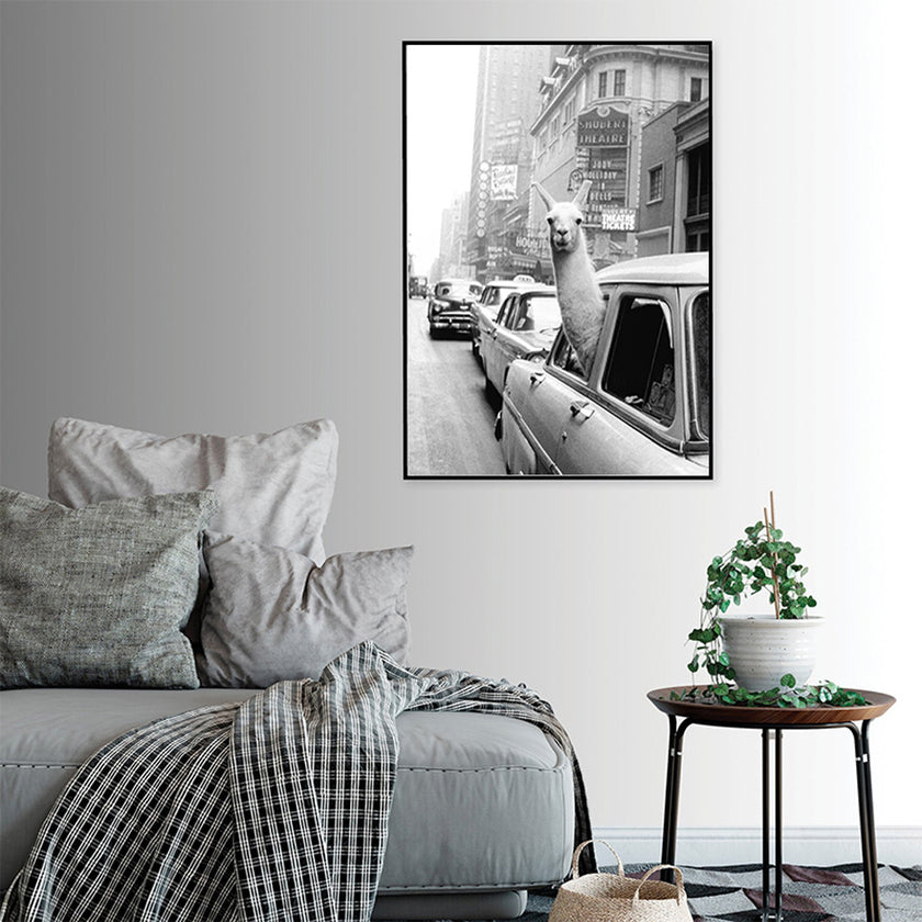 Wall art - Black and White Alpaca in Taxi New York City - Canvas Prints - Poster Prints