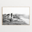 Animals art prints -Black and white horse- Canvas Prints - Poster Prints