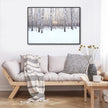 Wall art - Winter birch grove - Canvas Prints - Poster Prints