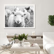 Wall Art - Black and White Sheep - Canvas Prints-Poster Prints