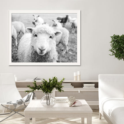 Wall Art - Black and White Sheep - Canvas Prints-Poster Prints