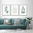 Wall Art - Botanical Leaves ( 3 sets )- Poster Prints -Canvas Prints