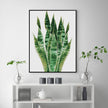 Wall Art - Botanical Succulent - Canvas Prints-Poster Prints