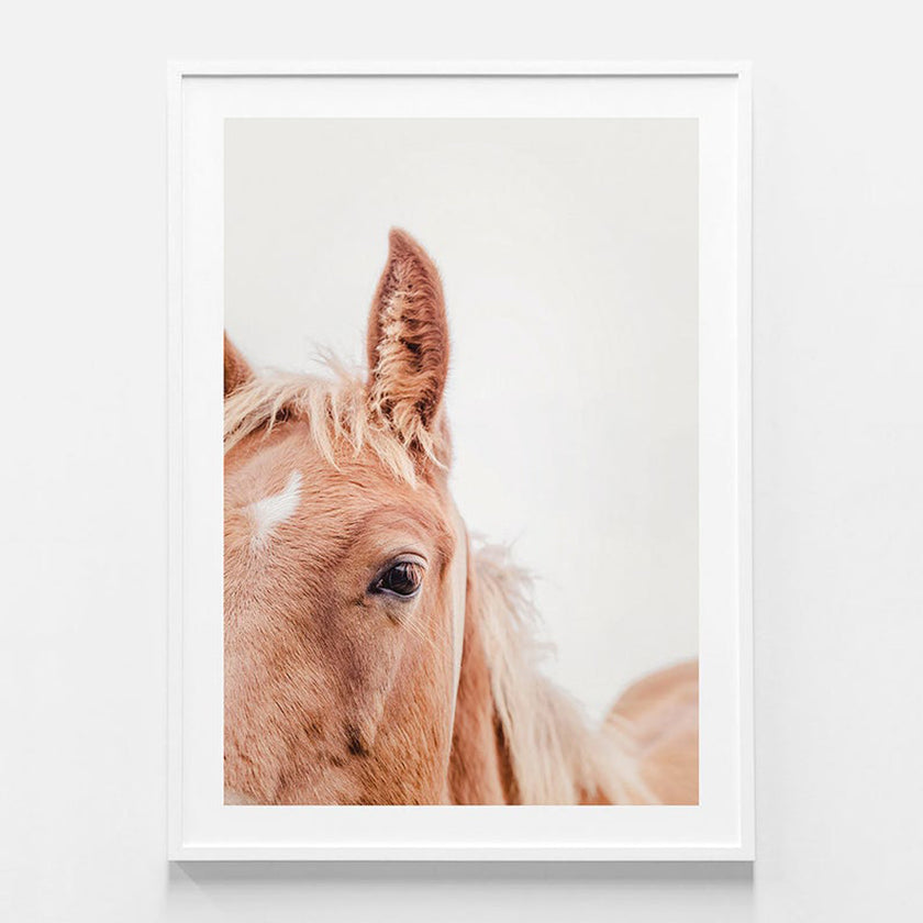 Animals Art - Brown Mare - Canvas Prints-Poster Prints