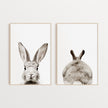Wall art - Grey rabbit 2 sets  - Canvas Prints- Poster Prints