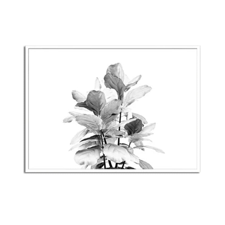 Wall art - Fiddle Leaves - Canvas Prints - Poster Prints