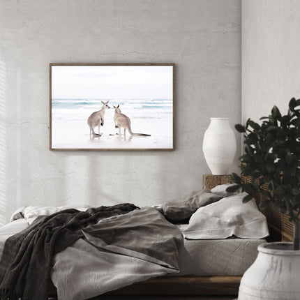 Wall art - Kangaroo - Canvas Prints - Poster Prints