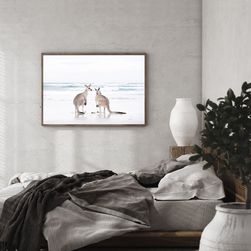 Wall art - Kangaroo - Canvas Prints - Poster Prints