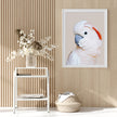 Wall art - Cockatoo III - Canvas Prints - Poster Prints