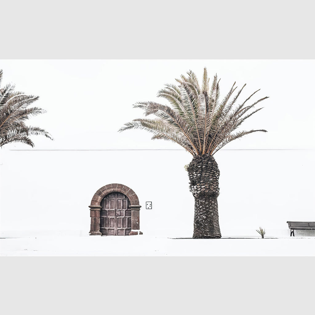 Wall art - European Palm Tree - Canvas Prints - Poster Prints