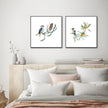 Animals Art Prints -KOOKABURRA AND BANKSIA(2 sets)- Canvas Prints-Poster Prints