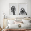 Wall Art - ALPACA AND SLOTH -(2 sets) -canvas prints - poster prints